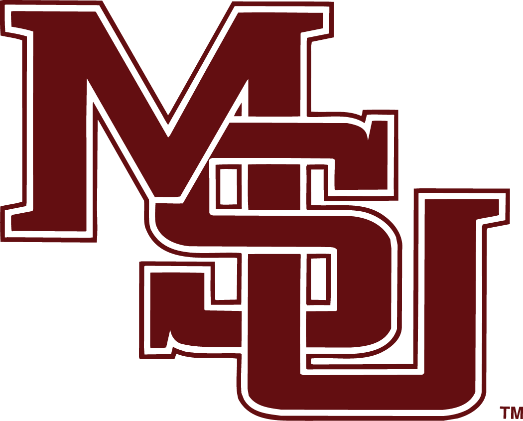 Mississippi State Bulldogs 1996-2003 Primary Logo diy DTF decal sticker